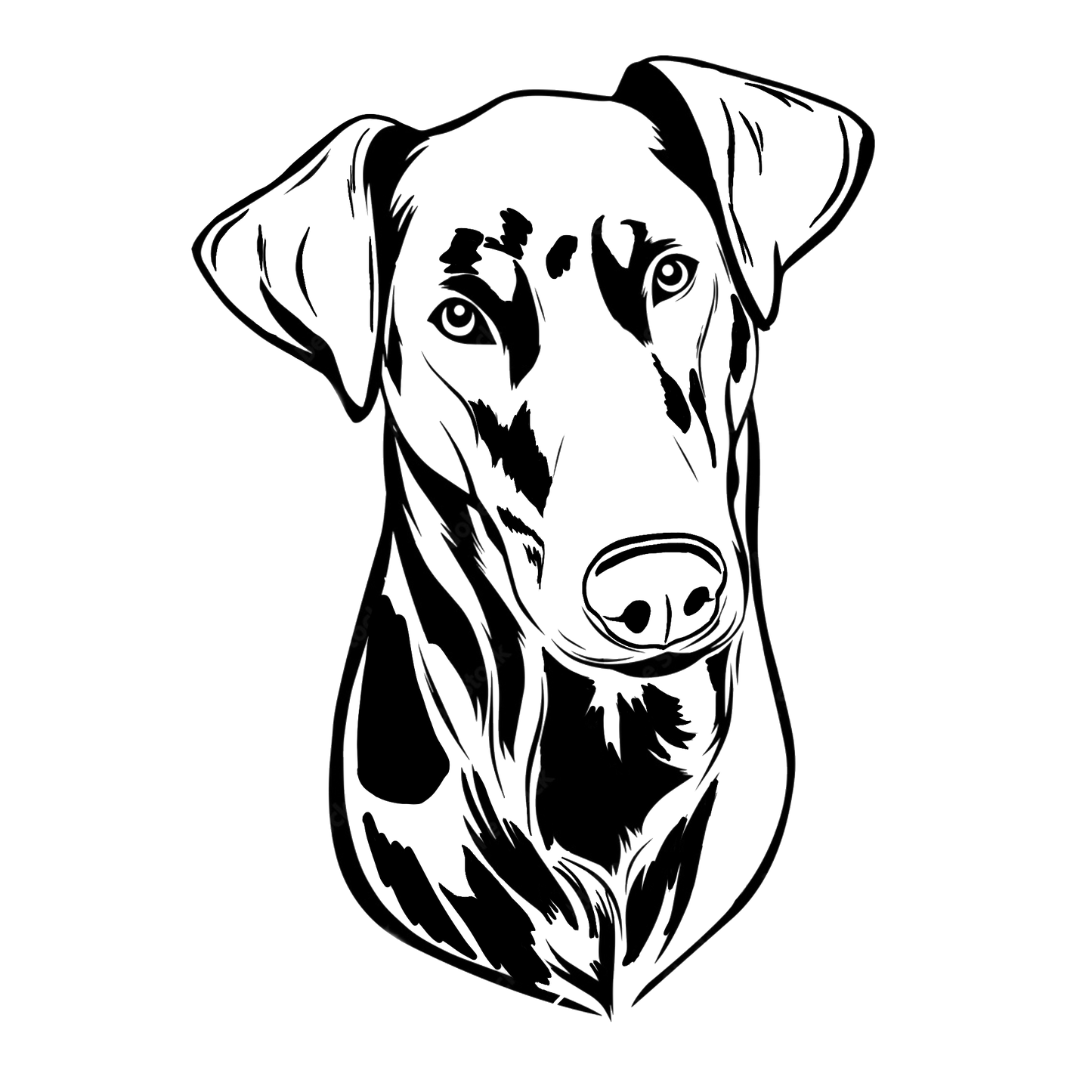 Doberman Apparel