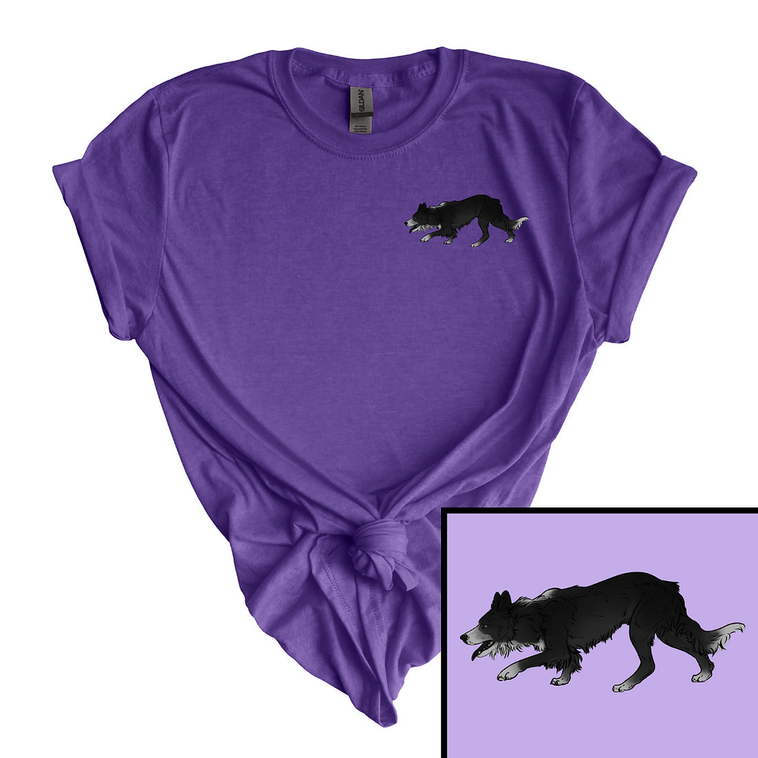 Border Collie Apparel