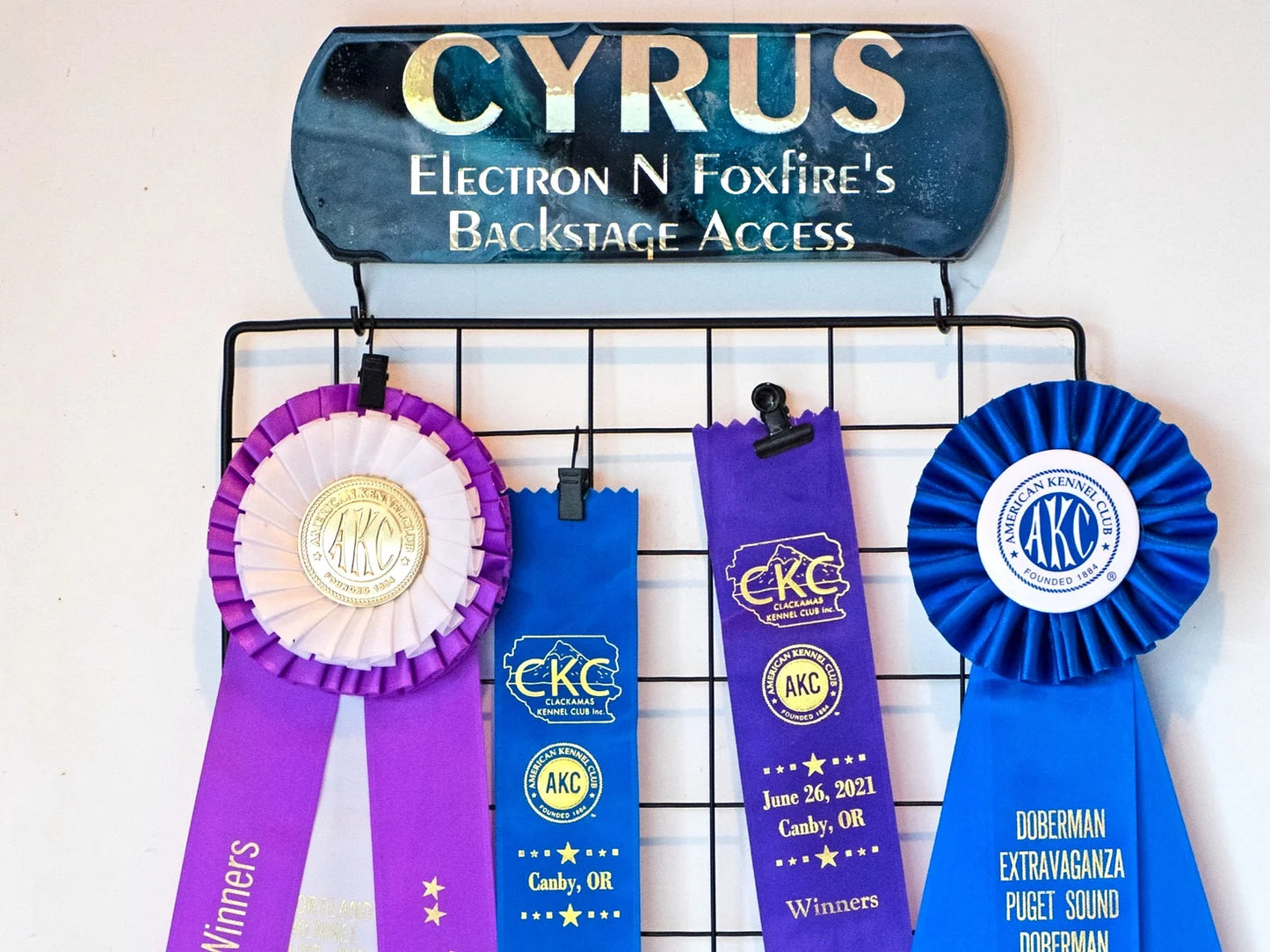 Wire Panel Add On (Tag Not Included)