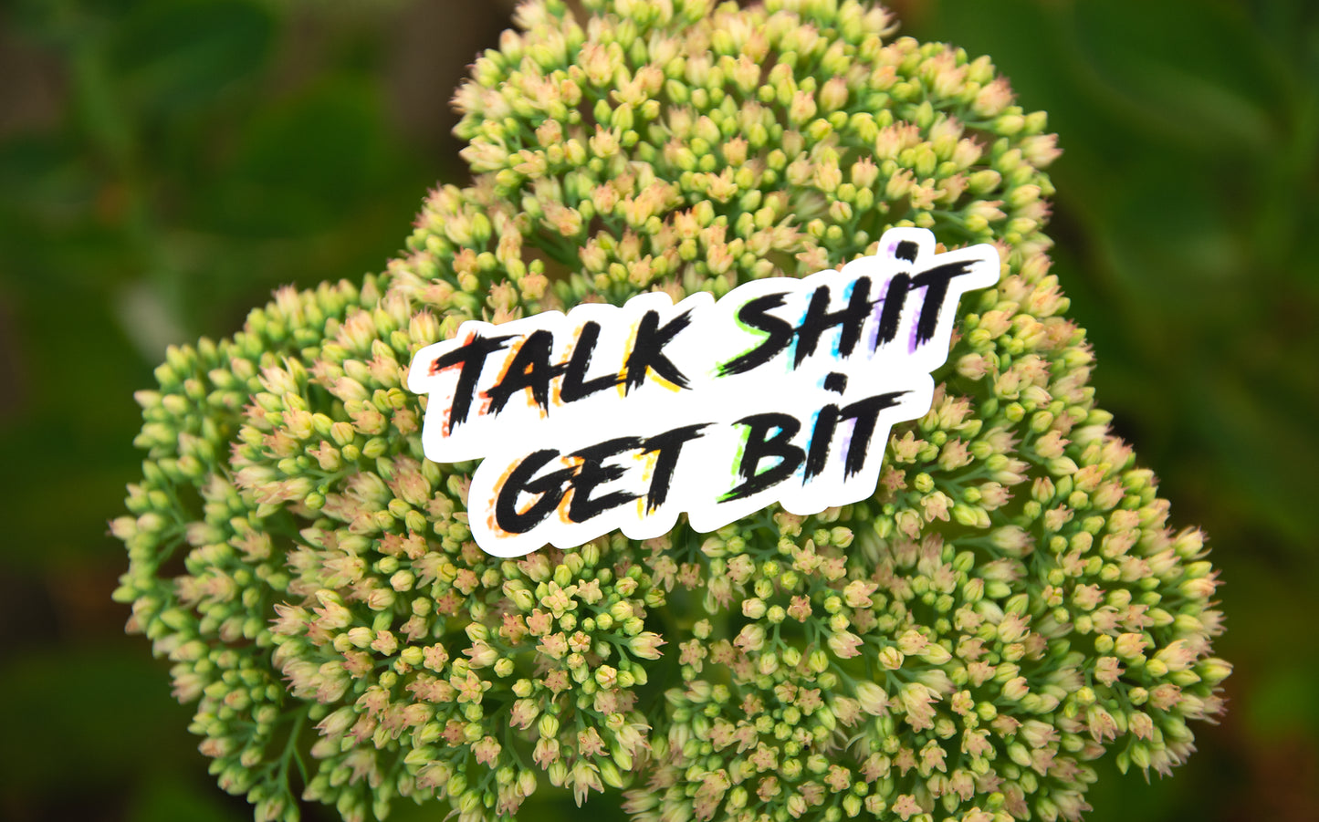 Talk Shit Get Bit Print Die Cut Sticker