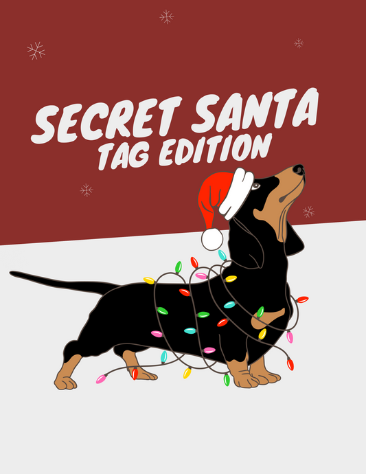 PMD Secret Santa Tag